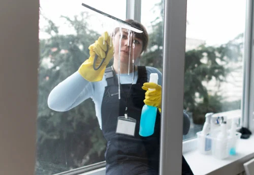 Nettoyage de vitres intérieures et extérieures à Gaël